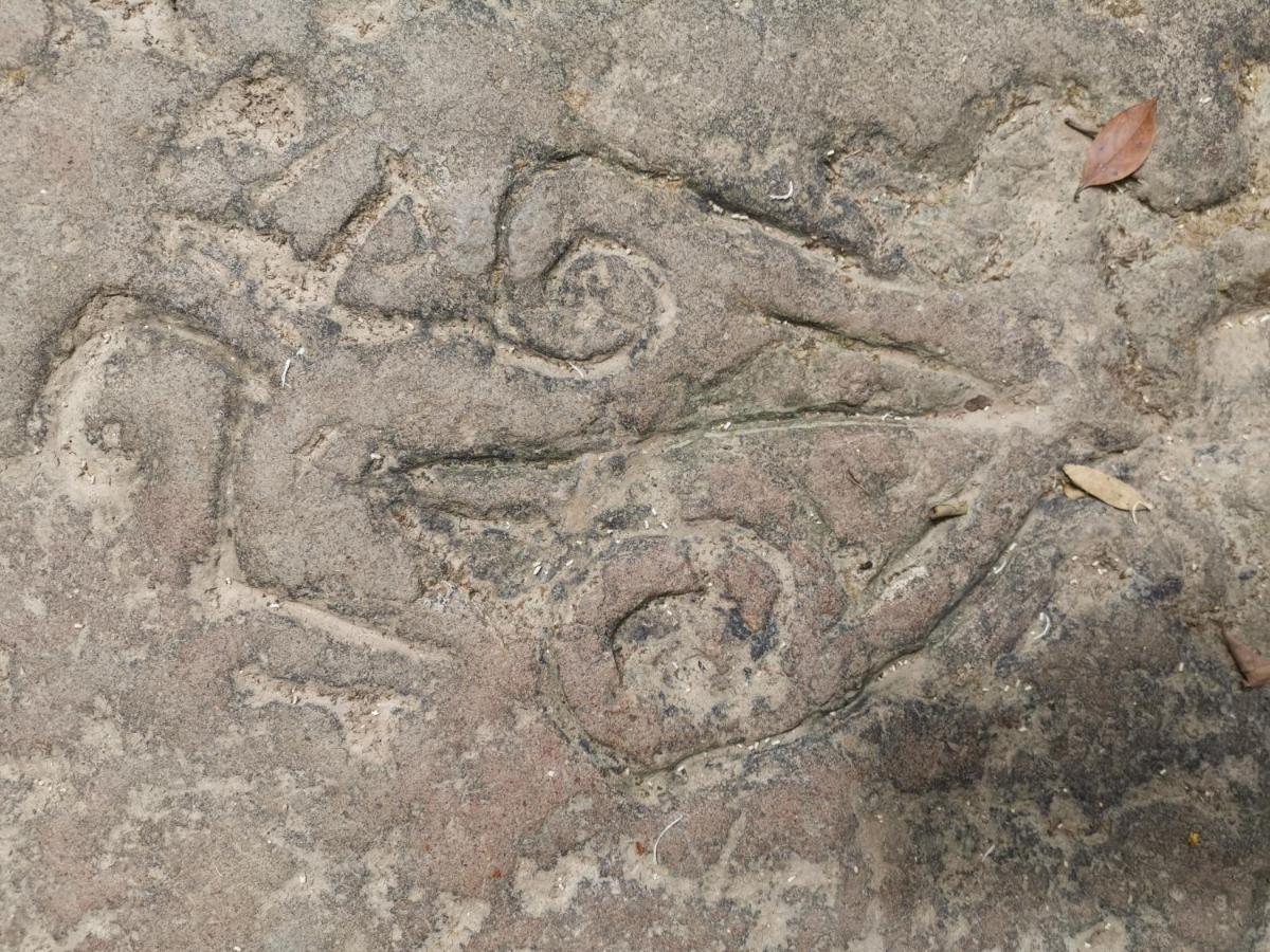 El Zumbito Daire El Valle de Anton Dış mekan fotoğraf