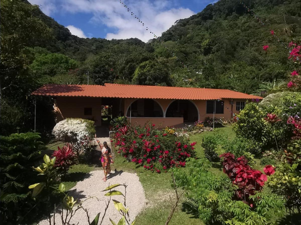 El Zumbito Daire El Valle de Anton Oda fotoğraf