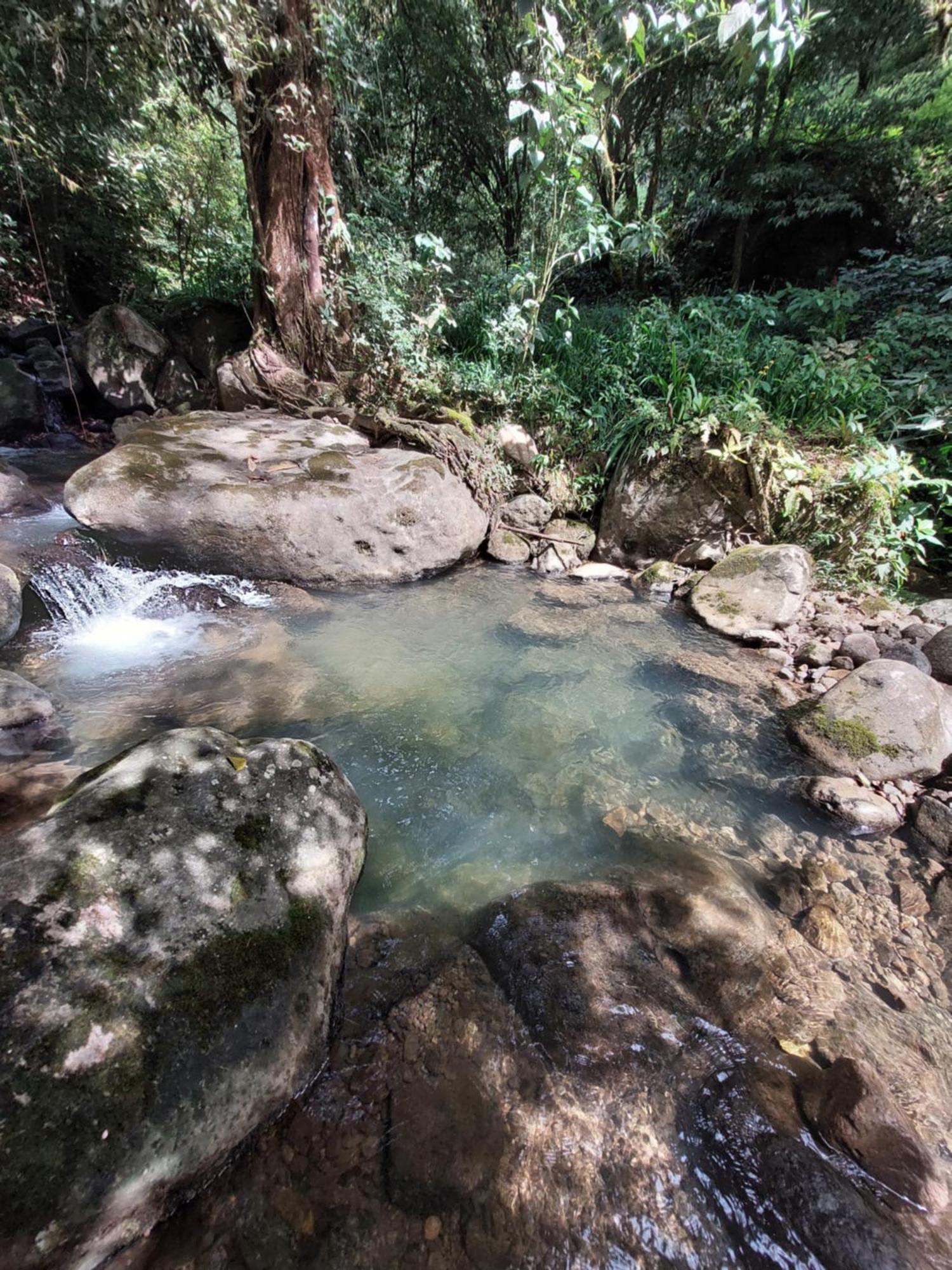 El Zumbito Daire El Valle de Anton Oda fotoğraf