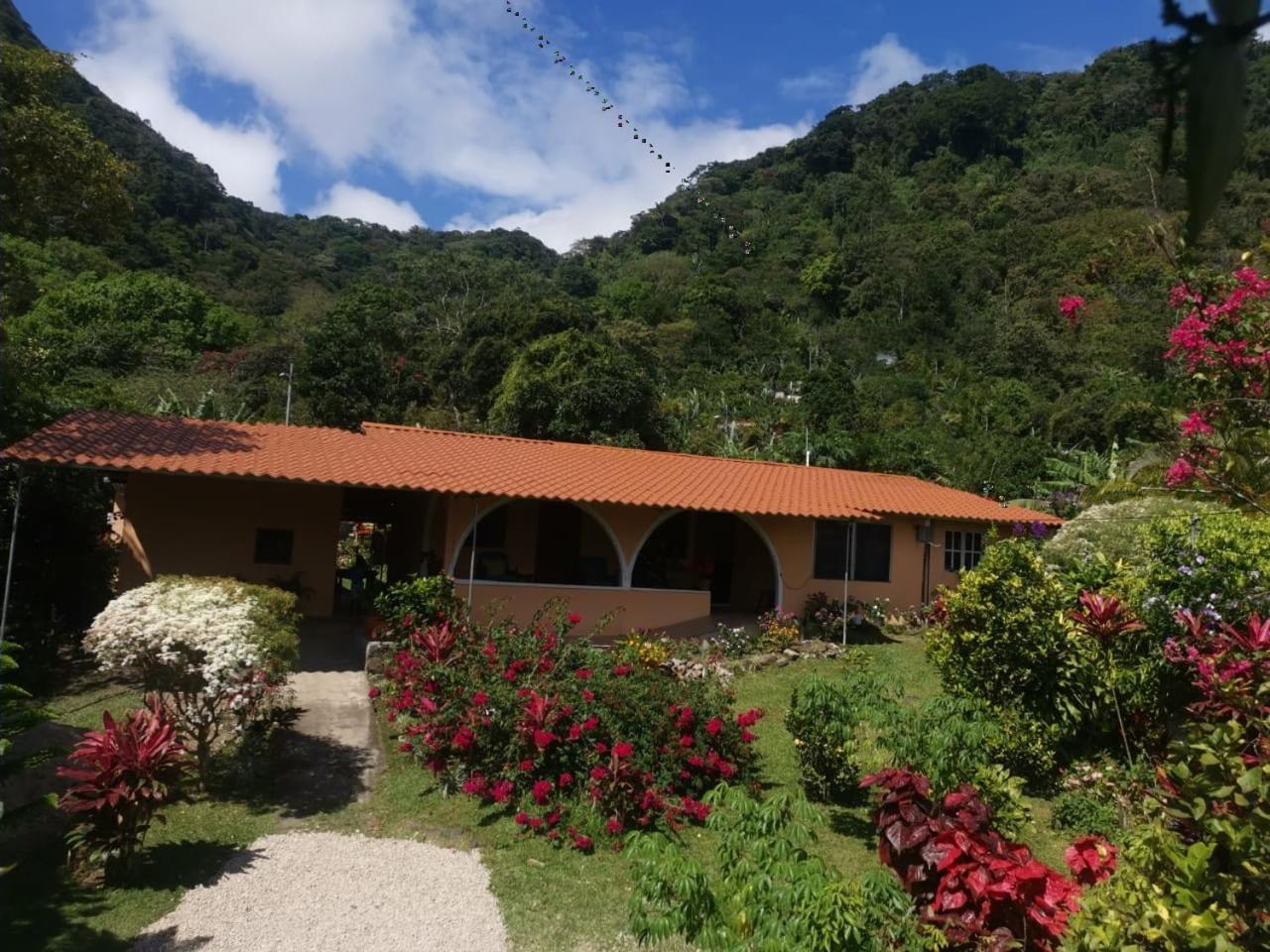 El Zumbito Daire El Valle de Anton Oda fotoğraf